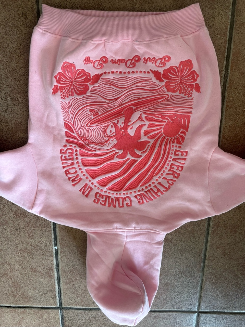 Pink Graphic Hooded Sweatshirt with Surf Design
